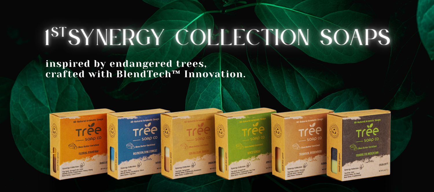 Tree Soap Company